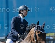 Lippi Bruni Caesar TosTour2013- S5 2300 : Arezzo, Arezzo Equestrian Centre, Caesar, Lippi Bruni Rebecca, Toscana Tour 2013, foto di Stefano Secchi ©